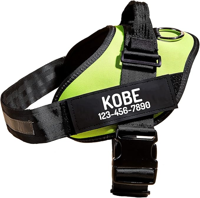 PawPawify Custom No Pull Dog Harness with Name and Phone Number, Heavy Duty Personalized Pet Vest to Prevent Tugging, Pulling, or Choking, Training and Walking (Green, S (Chest 16-21in))