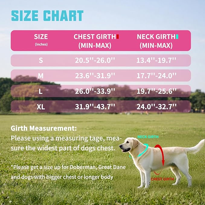 AUROTH Dog Harness and Leash Set, Soft Padded Service Dog Vest with 5.25FT Dog Leash, No Choke, Easy On Pet Vest, Adjustable Reflective No Pull Dog Harness Small Sized Dog, Easy Walking and Training