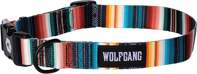 Wolfgang Heavy Duty, Adjustable Dog Collar with Quick Release Nylon Buckle for Walking & Training, LostArt Print, Medium