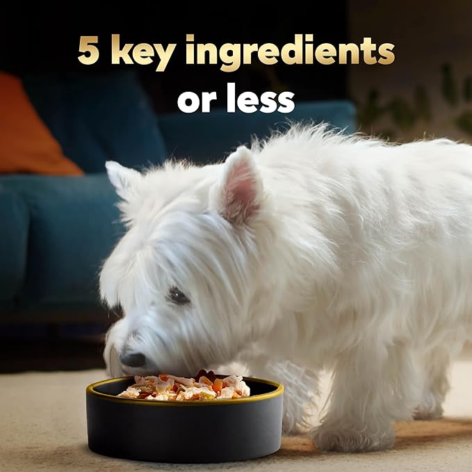 Cesar Simply Crafted Wet Dog Food Toppers for Dry Food, Chicken and Beef Meal Topper Variety Pack, 1.3 oz. Tubs, Variety Pack, 40 Count (Pack of 1)