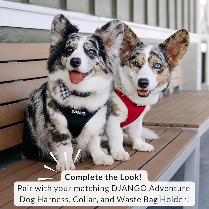 DJANGO Cotton Rope Dog Leash 5ft – Handcrafted Dog Leash and Red Braided Leash for Small, Medium, and Large Dogs – Durable 5 Foot Training Lead with Gold Hardware – Crimson Red
