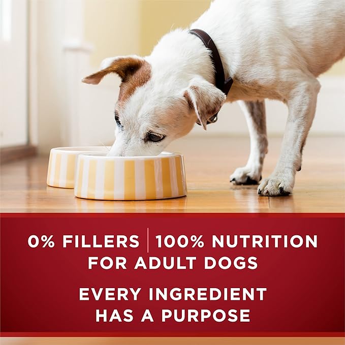 Purina ONE High Protein Wet Dog Food True Instinct Tender Cuts in Dog Food Gravy With Real Turkey and Venison - (Pack of 12) 13 oz. Cans