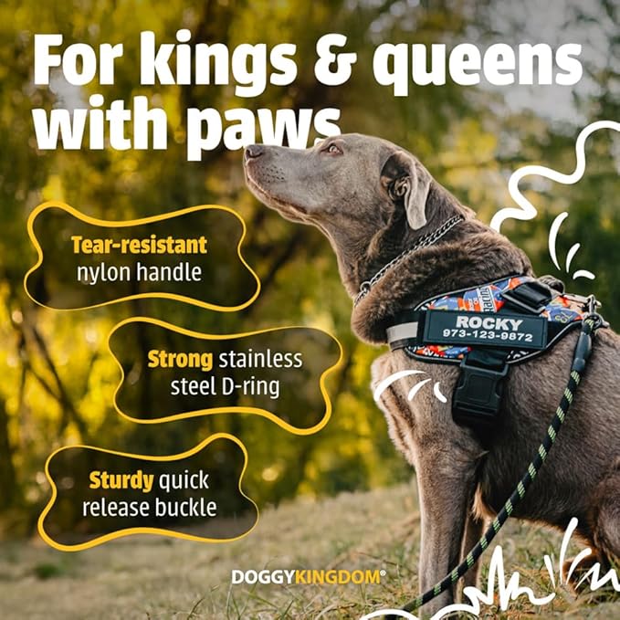 Personalized No-Pull Dog Harness with Name Patch, Adjustable, Reflective, Padded, Heavy Duty Pet Vest to Prevent Tugging, Pulling, or Choking, Training and Walking, US Flag, S
