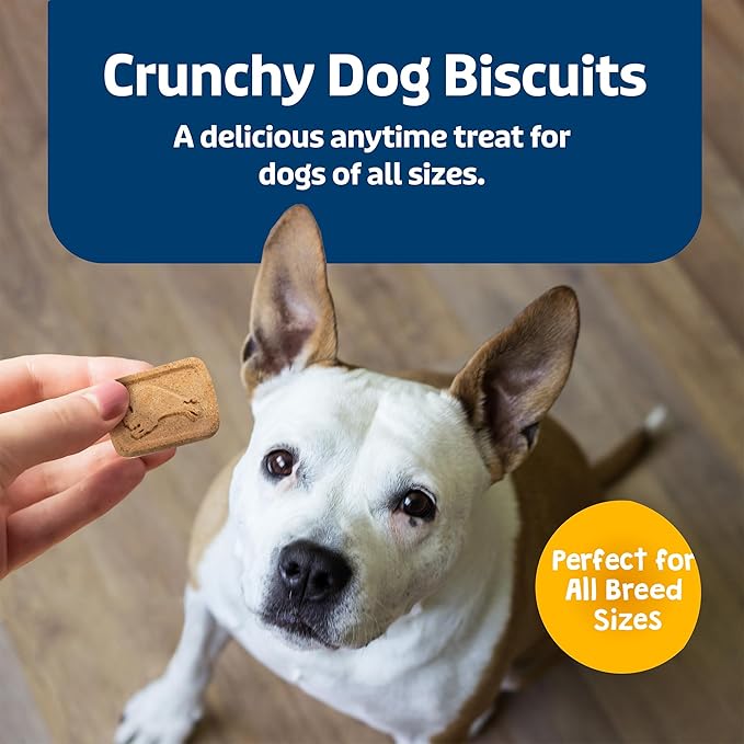 Blue Buffalo Health Bars Crunchy Dog Biscuits, Oven-Baked Dog Treats Made with Natural Ingredients, Bananas & Yogurt, 16-oz Bag