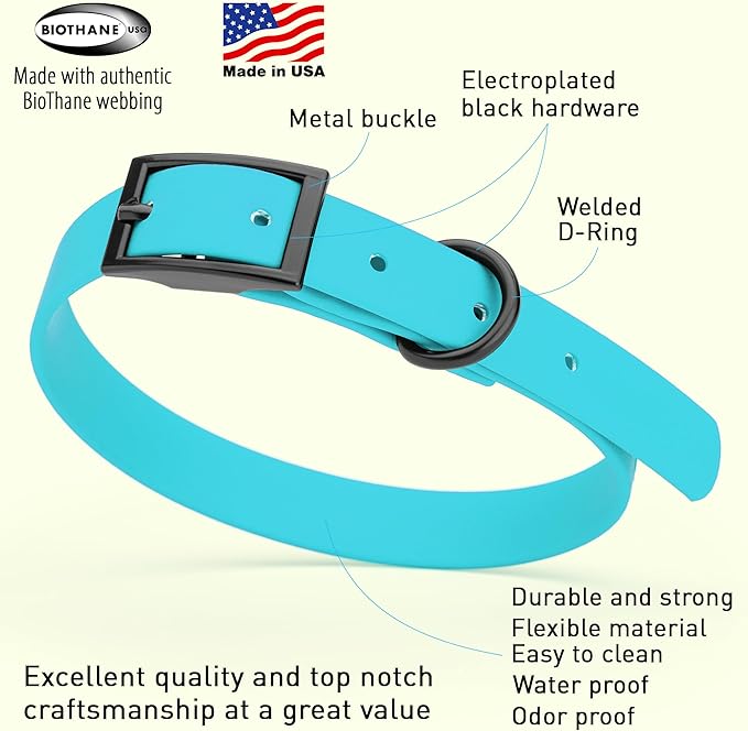 Dogline Biothane Coated Webbing Dog Collar with Black Metal Hardware: Durable Easy-Clean Everyday Collar for Dogs - Comfortable Adjustable Odor-Resistant Pet Collar, W5/8" x L12-15, Sky Blue