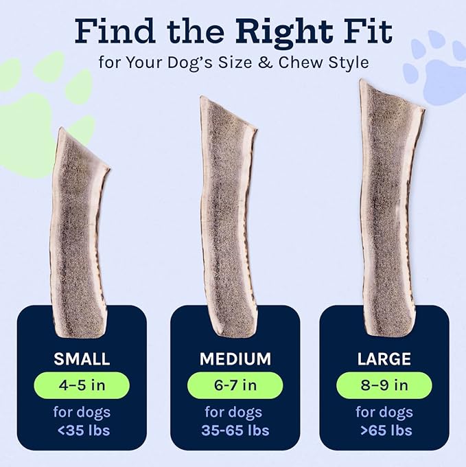 Good Trouble Premium Elk Antlers for Large Dogs – 1 Pack Split - All-Natural, Shed Antler Chews for Dental Health & Calming - Durable Dog Bones - Cruelty-Free, North American Sourced