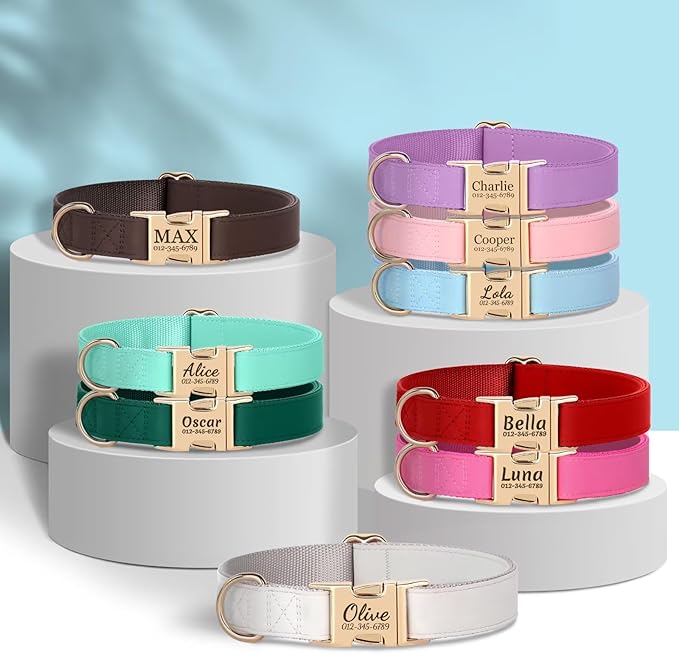 PET ARTIST Personalized Dog Collars, Custom Dog Collar with Engraved Silent Name Tag, Gold Quick Released Buckle & Soft Nylon Padded, 9 Colors & Matching Leash for Medium Dogs,Purple,M Fit 13-19"