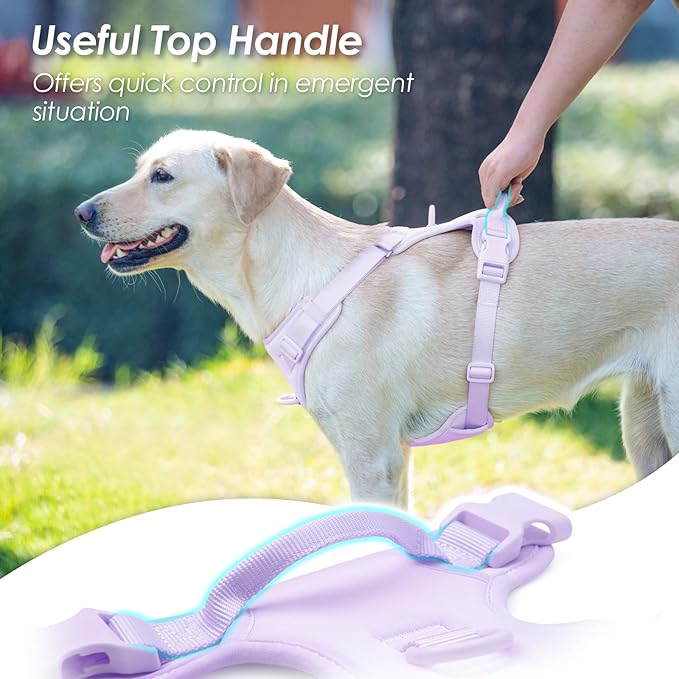 No Pull Dog Harness, Puppy Vest with Front Clip for Small Medium Large Sized Dog(Light Purple,XS)