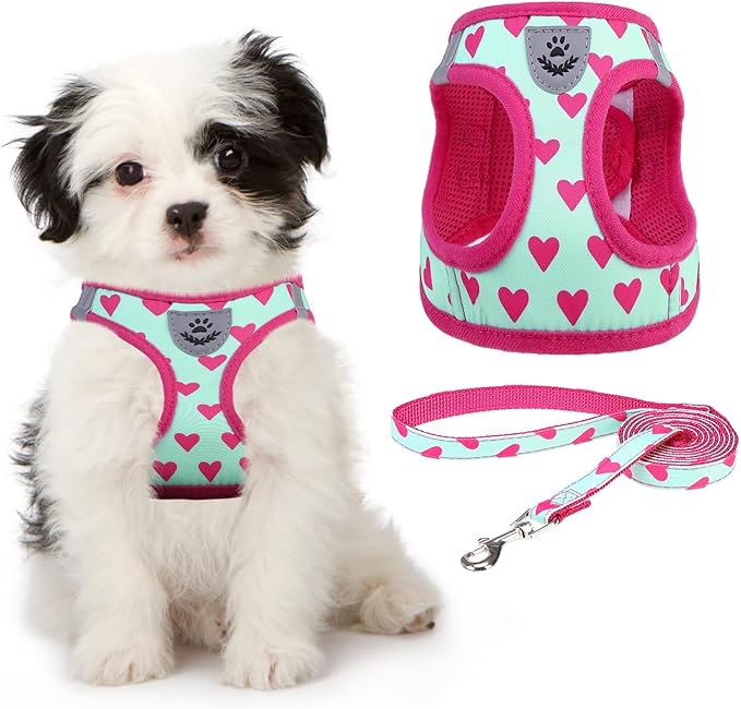 KOOLTAIL Dog Harness and Leash Set for Small Medium Dogs, Step in No Pull Soft Mesh Dog Harness Comfort Padded Pet Vest, Adjustable Reflective Easy Walking Puppy Cats Harnesses Training, Pink Heart S