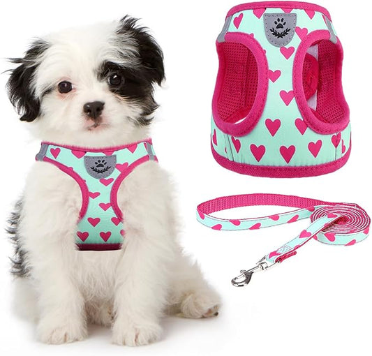 KOOLTAIL Dog Harness and Leash Set for Small Medium Dogs, Step in No Pull Soft Mesh Dog Harness Comfort Padded Pet Vest, Adjustable Reflective Easy Walking Puppy Cats Harnesses Training, Pink Heart S