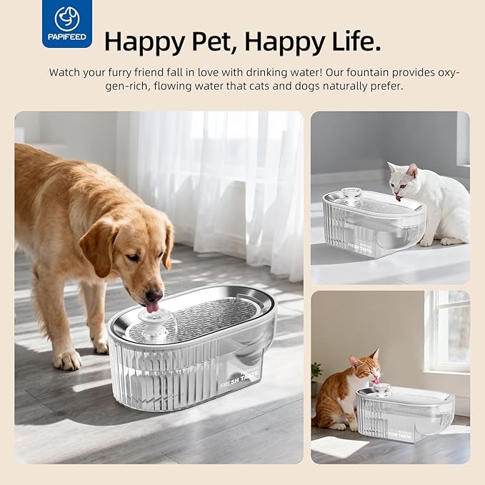 PAPIFEED Cat Water Fountain + Stainless Steel Tray (White Single Filter Element, Not Mat)