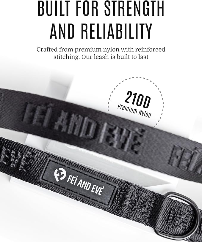 2025 New Edition, Fei & Eve Classic Dog Leash - 6FT, Dual Padded Handles, 360° Swivel Hook, Heavy Duty 210D Nylon - No-Pull Design with Traffic Control Handle - for Small/Medium/Large Dogs, Black