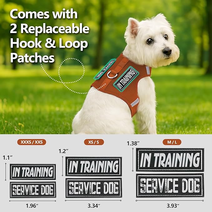 Dog Harness for Puppy – Adjustable Reflective Easy Put On Soft Mesh Vest for Small Dogs with 2 Patches (Carmel Brown,M)
