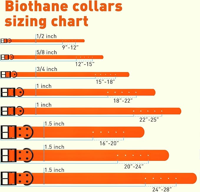 Dogline Biothane Coated Webbing Dog Collar with Black Metal Hardware: Durable Easy-Clean Everyday Collar for Dogs - Comfortable Adjustable Odor-Resistant Pet Collar, W5/8" x L12-15, Hunter Orange