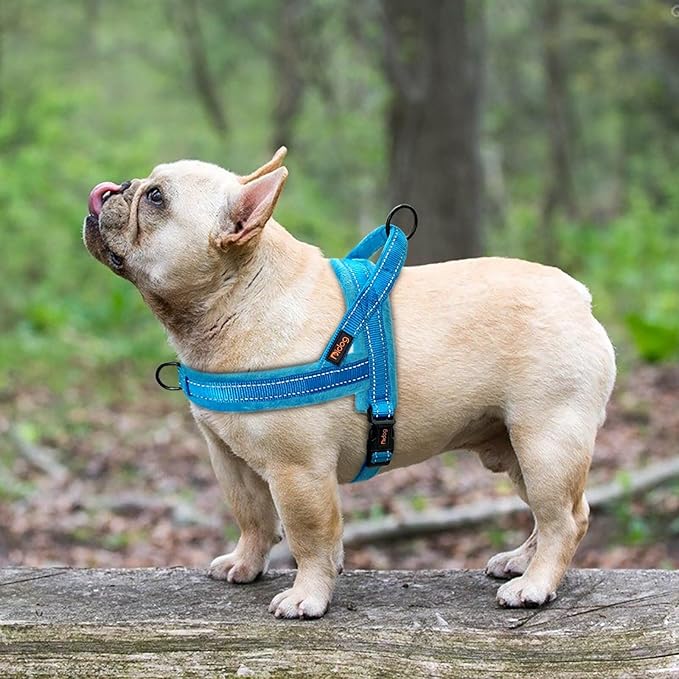 Didog Soft Flannel Padded Dog Vest Harness, No Pull/Quick Fit Reflective Dog Strap Harness, Easy for Training Walking (S:Chest 18-22", Blue)