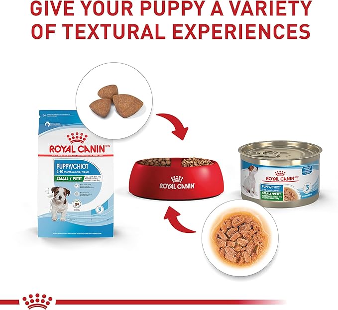 Royal Canin Size Health Nutrition Small Puppy Dry Dog Food, 30 lb Bag