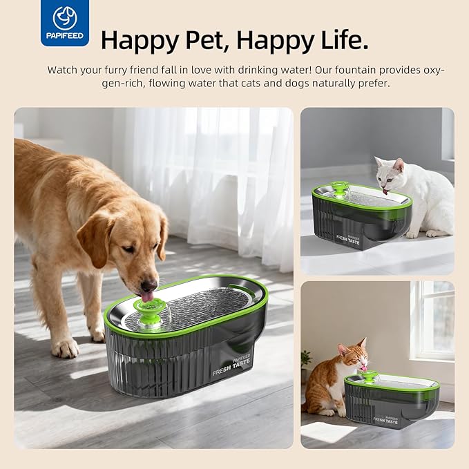 PAPIFEED Cat Water Fountain+ Stainless Steel Tray + 1 Silicone Mat+5 Filters+2 Sponges, 84 oz/2.5L Automatic Pet Drinking Fountain, Ultra Quiet Pet Fountain with Stainless Steel Tray, Easy to Clean