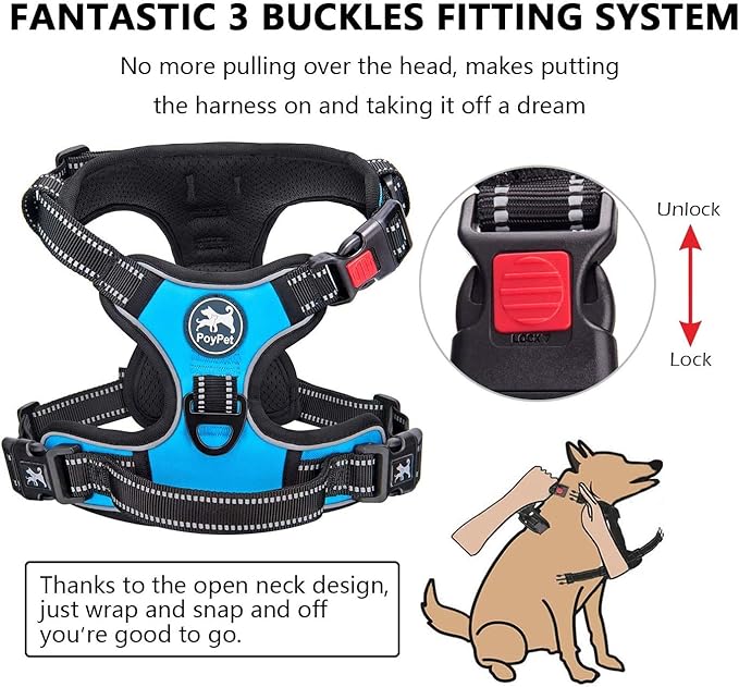 PoyPet Dog Harness and Leash Combo, Escape Proof No Pull Vest Harness, with 5 Feet Leash, Reflective Adjustable Soft Padded Pet Harness with Handle for Small to Large Dogs(Blue,XL)