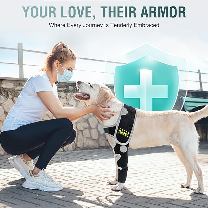 Dog Elbow Brace & Dog Front Leg Brace to Stop Licking – Dog Elbow Protector & Hygroma Elbow Pads for Dogs, Breathable Dog Sleeves for Front Legs, Reflective, Cone Alternative – Left Leg, XS