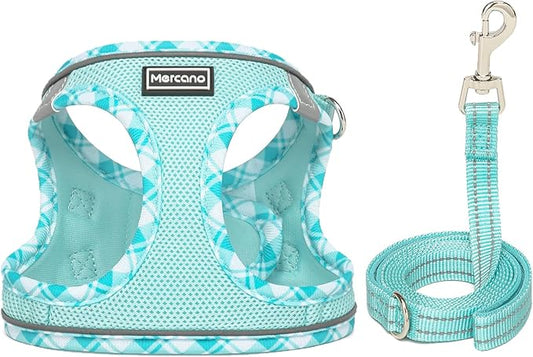 Mercano Soft Mesh Dog Harness and Leash Set, No-Chock Step-in Reflective Breathable Lightweight Easy Walk Vest Harnesses with Safety Buckle for Small Dogs, Cats (Light Blue, XXS)