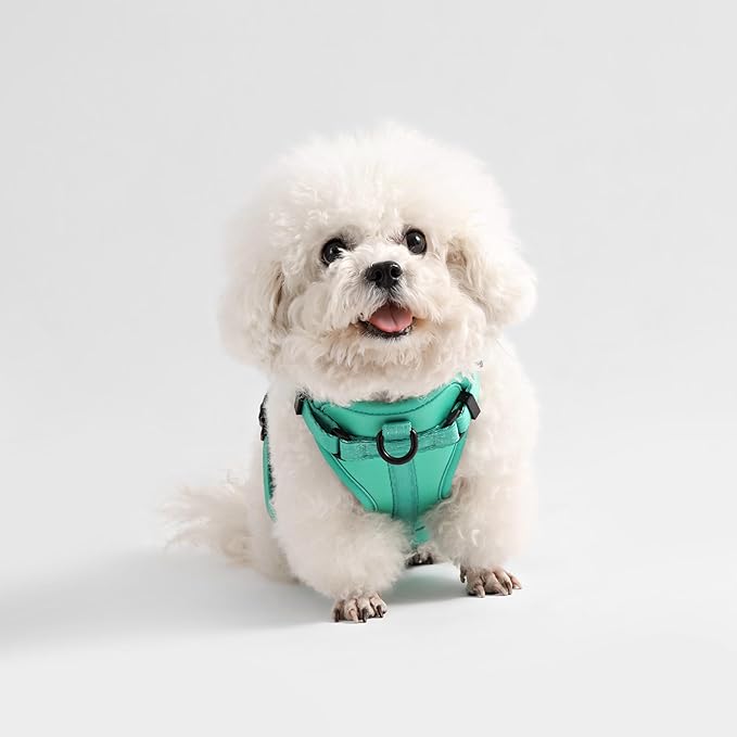HNS1000K Arlo Extra Small Adjustable Soft Padded No Pull Pet Harness with 3 Buckles and 3 Leash Clips, Julep
