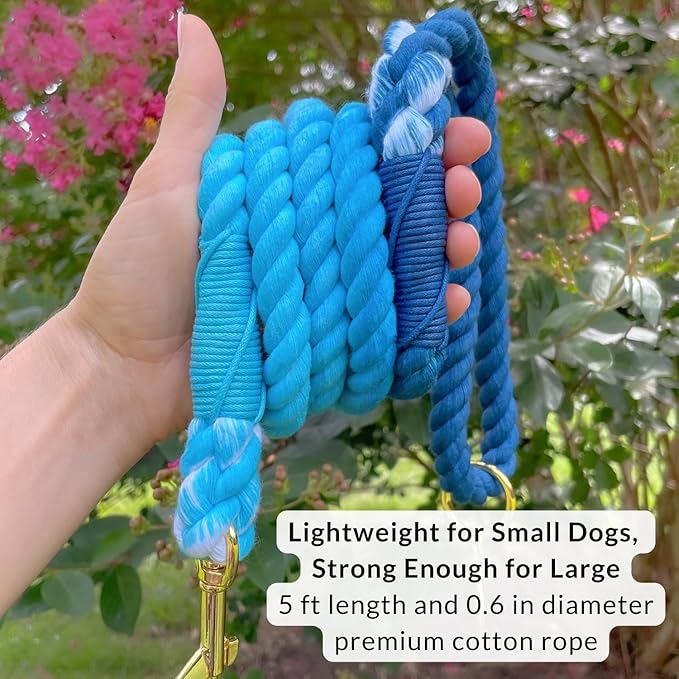 DJANGO Cotton Rope Dog Leash 5ft – Handcrafted Dog Leash and Blue Ombre Braided Leash for Small, Medium, Large Dogs – Durable 5 Foot Training Lead with Gold Hardware and Whipped Ends – Pacific Blue