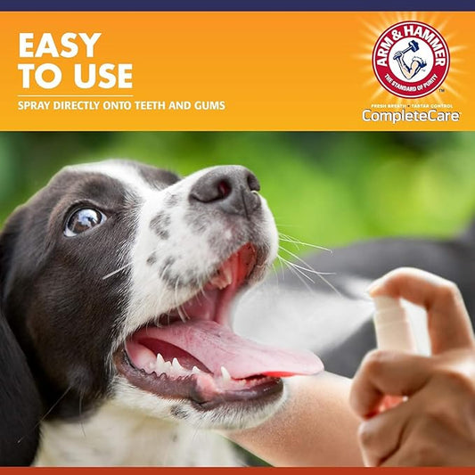 Arm & Hammer Complete Care Dog Dental Spray, Mint Flavor, Easy Brushless Dog Breath Freshener, Baking Soda Enhanced Formula for Fresh Dog Breath, 6oz - 2 Pack