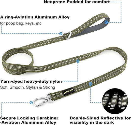 Plutus Pet Heavy Duty Dog Leash with Lockable Aluminum Carabiner, 4/6 Feet Long, Double-Sided Reflective Nylon, Padded Handle, for Puppy, Small, Medium and Large Dogs (Ranger Green, 1" x 4')