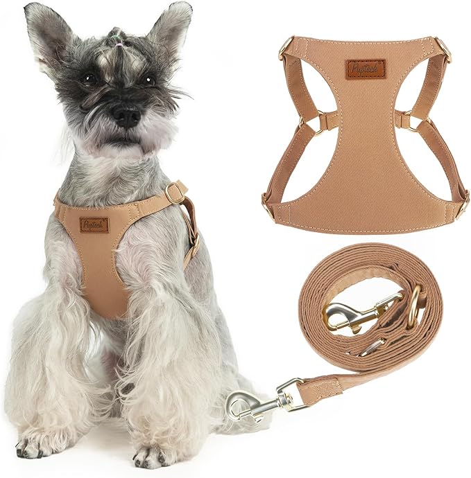 PUPTECK Dog Harness and Leash Set Small Sized, Step-in Cute Puppy Harness, Soft Lightweight Padded Vest, Escape Proof No Pull Pet Harnesses Easy for Walking, Khaki, M