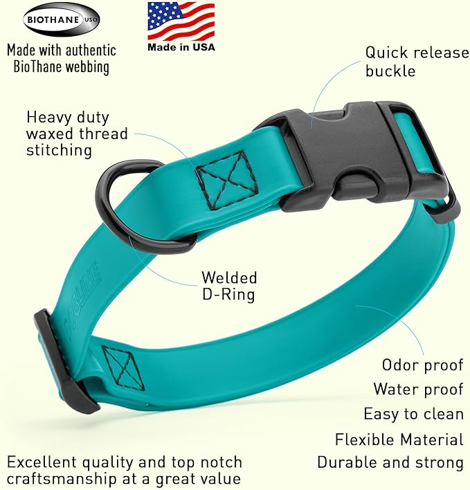 Dogline Durable Biothane Waterproof Collar for Dogs - Odor-Resistant Coated Webbing, Quick-Release Design, Comfortable Adjustable Fit, 3/4" W by 12-19" L, Teal