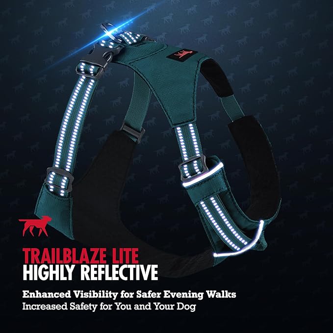 Tuff Pupper All-Day Wear Dog Harness | for Walking, Trail Running, Hiking | Front & Back Leash Clips | Reflective Trim | Easy On/Off Buckles | Lightweight Breathable | No Pull Design (XXS, Teal)