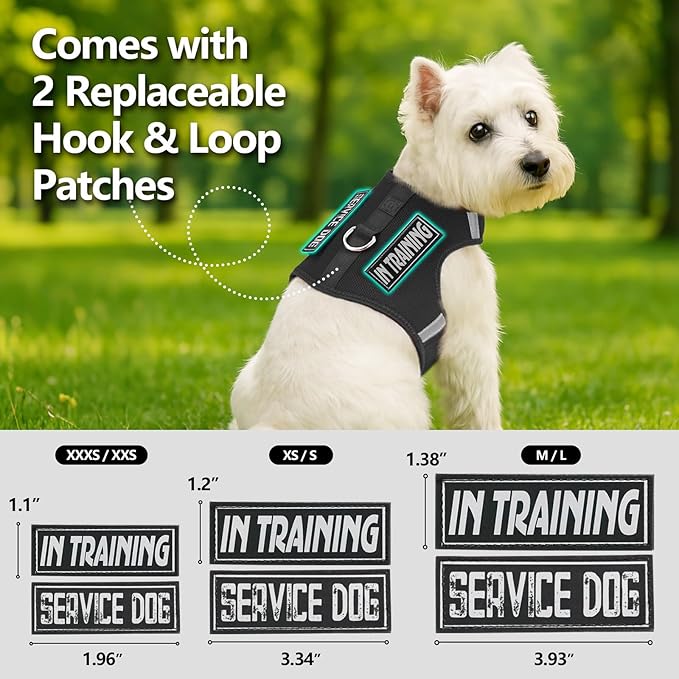 Dog Harness for Puppy – Adjustable Reflective Easy Put On Soft Mesh Vest for Small Dogs with 2 Patches (Black,XXS)