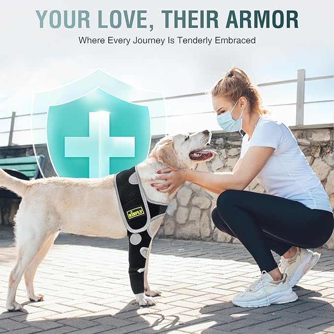 Dog Elbow Brace & Front Leg Brace for Dogs to Stop Licking – Dog Elbow Protector & Hygroma Elbow Pads for Dogs, Adjustable Dog Sleeves for Front Legs, Reflective – Right Leg, S