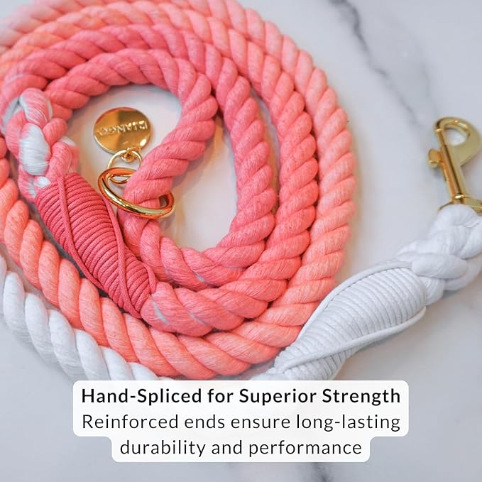 DJANGO Cotton Rope Dog Leash 5ft – Handcrafted Dog Leash and Pink Ombre Braided Leash for Small, Medium, and Large Dogs – Stylish and Durable 5 Foot Training Lead with Silver Hardware – Quartz Pink