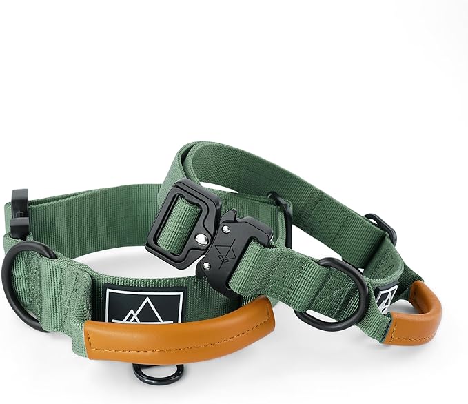 ROAM Made to ROAM Premium Explorer Control Collar - Adjustable Heavy Duty Nylon Dog Collar with Quick-Release Metal Buckle and Leather Handle (Oregon Haze, Size 2, Control)