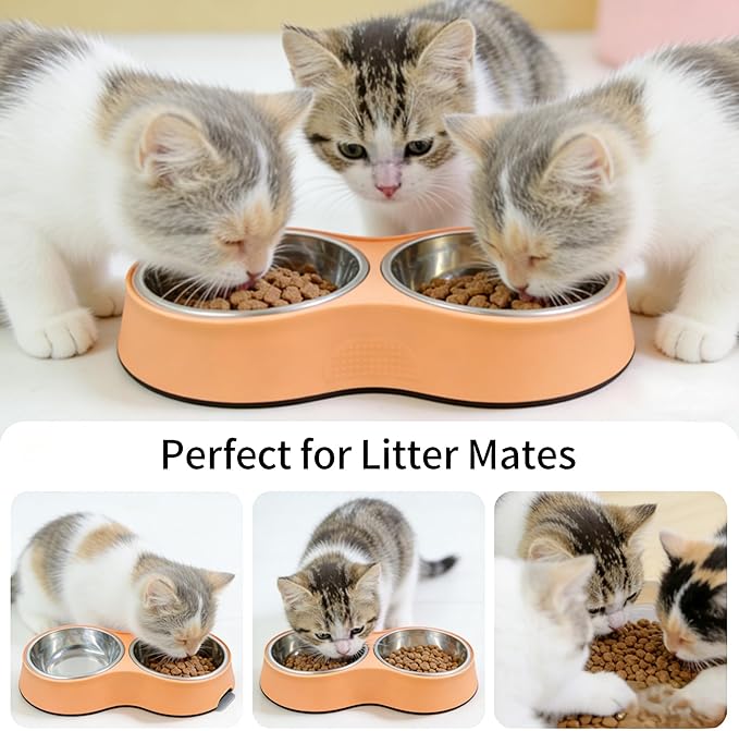 Small Orange Double Pet Bowl – Non-Slip Stainless Steel Food & Water Set for Cats, Kittens & Small Dogs, BPA-Free Mess-Free Feeding Dishes