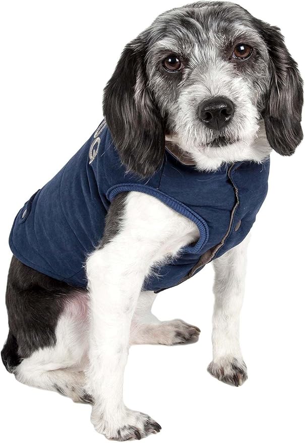 TOUCHDOG 'Waggin Swag' Fashion Designer Reversible 3M Insulated Pet Dog Coat Jacket, X-Large, Blue / Grey