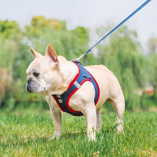 PUPTECK Dog Harness and Leash Set for Small Medium Dogs No Pull Step-in Soft Mesh Puppy Cat Vest Harnesses Reflective at Night, Denim NavyBlue S