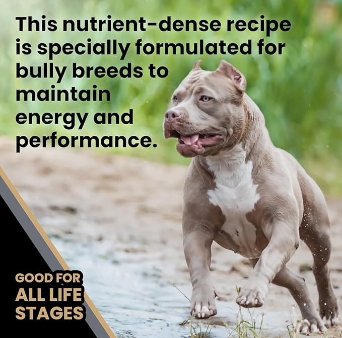 VICTOR Bully Fuel Dry Dog Food, 40 lb – Real Beef First Ingredient, High-Calorie Formula for Lean Muscle, Glucosamine & Chondroitin for Joint Health, Omega 3 & 6 for Skin & Coat
