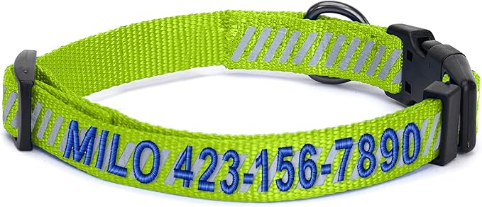 Pawtitas Reflective Dog Collar - Personalized Name & Phone Number, Adjustable for Extra Small Dogs & Puppies, Green