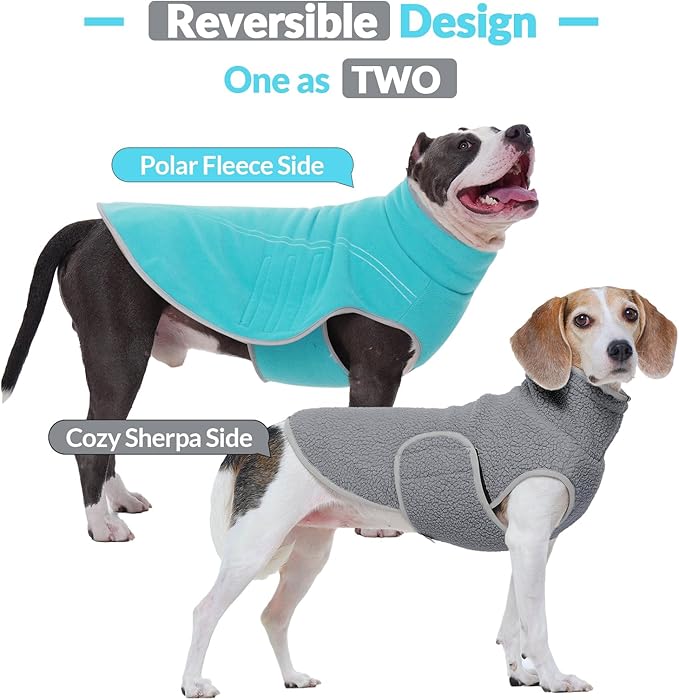 ROZKITCH Dog Clothes Boy Girl Medium, Double-Sided Plush Sweatshirt, Winter Coat Walks in Cold or Wet Weather for Small Breeds Bluegreen M