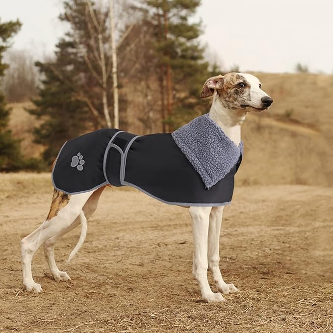 Geyecete Dog Winter Coat Geyecete Greyhound Raincoat Fabric with Lamb Velvet Inside Outdoor Dog Apparel with Adjustable Bands for Medium, Large Dog-Black-XXXL