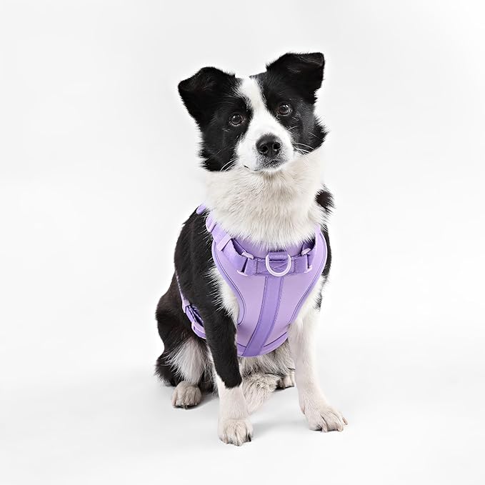 HNS1003H Arlo Large Adjustable Soft Padded No Pull Pet Harness with 3 Buckles and 3 Leash Clips, Bramble