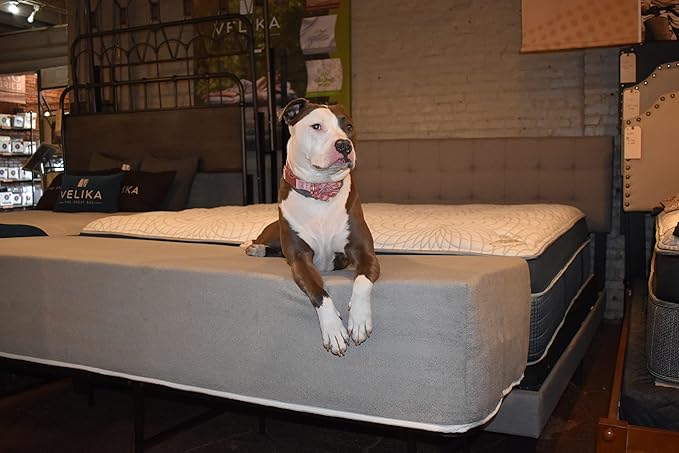 Dog Bed Mattress Extender for King Beds - Customizable Freestanding Bedside Pet Cosleeper for Dogs & Cats - Multiple Height & Color Options - Extension of Bedding for Pets (16" Height Dog Bed, White)