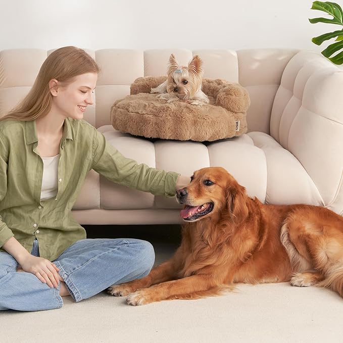 EHEYCIGA Medium Dog Bed and Large Cat Couch – Fluffy Faux Rabbit Fur Pet Sofa for Small and Medium Dogs, Washable Removable Cover, Waterproof and Non-Slip, 30 Inch, Camel