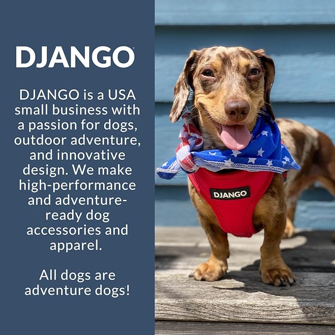 DJANGO Adventure Dog Harness - Stylish and Comfortable Small Dog Harness for Outdoor Adventures and Everyday Wear - Black Neoprene Adjustable Harness for Dogs with Reflective Piping and Brass D-Ring