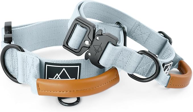 Roam Made to ROAM Premium Explorer Control Collar - Adjustable Heavy Duty Nylon Dog Collar with Quick-Release Metal Buckle and Leather Handle (Alaska Daybreak, Size 3, Control)