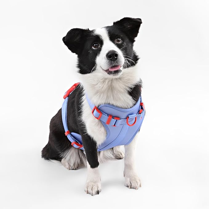 HNS1003E Arlo Large Adjustable Soft Padded No Pull Pet Harness with 3 Buckles and 3 Leash Clips, Sangria