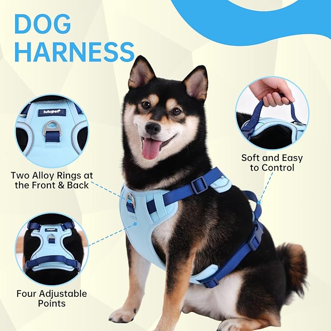 No Pull Dog Harness Leash and Collar Set, Adjustable Dogs Vest with Reflective Strip Soft Handle for Small Medium Large Sized Dog Blue