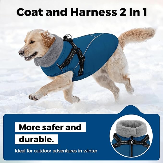 Queenmore Small Dog Coat,Dog Coat for Small Dogs,Reflective Windproof Dogs Jackets with Built-in Harness,Doggy Winter Jacket with Zipper On Back,Warm Pet Coats with Fleece Lining,Blue,S